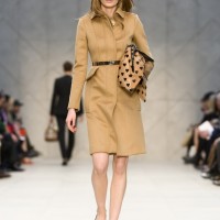 【2013-14年秋冬コレクション】バーバリー プローサム （BURBERRY PRORSUM）