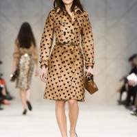 【2013-14年秋冬コレクション】バーバリー プローサム （BURBERRY PRORSUM）