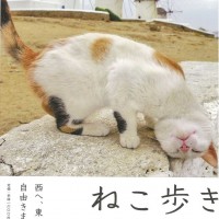 岩合光昭の写真展「ねこ歩き」開催