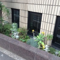 外には植栽が設けられた