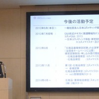 記者会見の様子