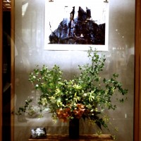 伊勢丹新宿店で開催された「Overgrowth」展