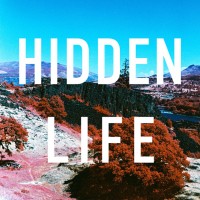 LIFE sonで開催中の「Hidden Life」展