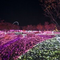 関東最大級のイルミネーションイベント、「さがみ湖イルミリオン」がオープン