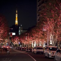 六本木ヒルズけやき坂のクリスマスイルミネーション