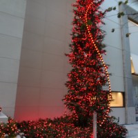 資生堂銀座ビルファサードのクリスマスツリー
