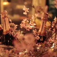 「シャンドンロゼ」のお花見イベント「お花見 CHANDON 目黒川」