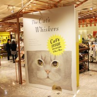 「Cat’s ISSUE POP-UP STORE@ISETAN」開催中