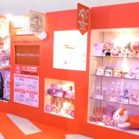 SANRIO EXPO 2014