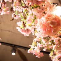 CHANDON ROSE OHANAMI PARTY!