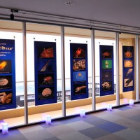 深海生物写真展