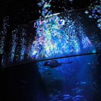 深海世界のオアシス「The Deep Sea Oasis」