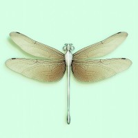 DRAGONFLY [Chloromgonfus detectis] Volatile inorganic-sensitive animal.