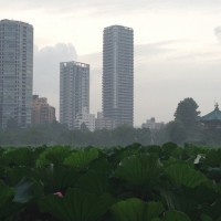 寛永寺