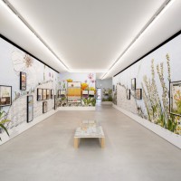 デイヴ・ムラー「Sublime Memory Garden」展示風景