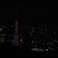 ピンクにライトアップされた東京タワー