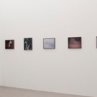 ヴィヴィアン・サッセンがG/P galleryで単独展。現代写真家としての顔に迫る