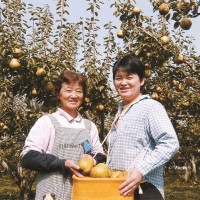 四季の果実 長沼果樹園の長沼由紀さん（右）