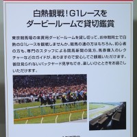 「白熱観戦！G1レースをダービールームで貸切鑑賞」福袋（日本橋三越）