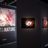 特別展覧会「Light & Nature ～Photography and the Art of Projection」