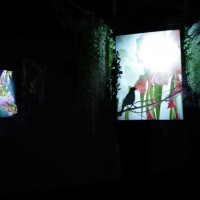 特別展覧会「Light & Nature ～Photography and the Art of Projection」