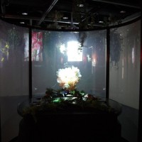 特別展覧会「Light & Nature ～Photography and the Art of Projection」