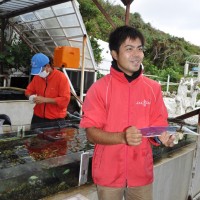 スタッフが愛情をもって生き物たちを育てていることが伝わってくる