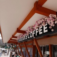 プランティカが装飾を手がけた、スターバックス 上野恩賜公園店のエントランス。