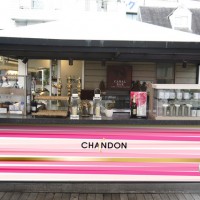 スパークリングワイン「シャンドン ロゼ」によるイベント「お花見CHANDON」