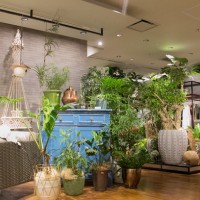 伊勢丹新宿店本館5階=リビングデコール内に位置する「SOLSO HOME Shinjuku」