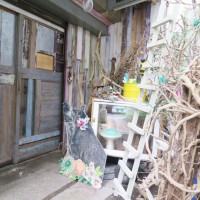 神楽坂の花屋「てん.（te-n.）」