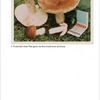 「The Mushroom Collector」ジェイソン・フルフォード