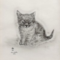 『猫の本：アヒノア』