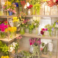 明治神宮前の花屋「ザ リトル ショップ オブ フラワーズ（The Little Shop of Flowers）」