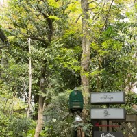 明治神宮前の花屋「ザ リトル ショップ オブ フラワーズ（The Little Shop of Flowers）」