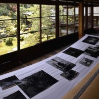 建仁寺・両足院での書院、茶室、庭を使用したロンロン＆インリの作品展示