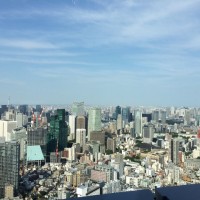 東京タワーとスカイツリーが同時に見られる景色