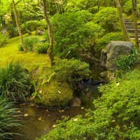 アメリカ・オレゴン州で味わう日本の美「ポートランド日本庭園」／Natural Garden, summer (photo cred David Cobb)