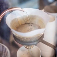 「TOKYO COFFEE FESTIVAL 2015」が国連大学前広場で開催