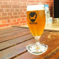 新宿伊勢丹で「Feel The Craft Beer～伊勢丹クラフトビールフェア～」開催中