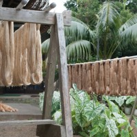 工房の猫は、居心地のよい場所をしっているよう