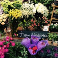 figue L’Atelier du Fleurs