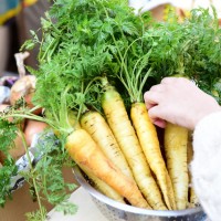 北海道十勝の食材を使った料理が東京の商店街で食べられるイベント「トカチプ」の第6弾が開催