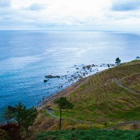 海に面した白米千枚田の光景