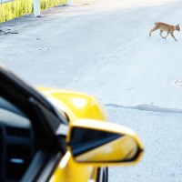 写真家の在本彌生、伊藤徹也、池田晶紀がホンダの車両「S660」を撮影した作品を展示する「ホンダ S660 デザイン/フォト エキシビション」が開催