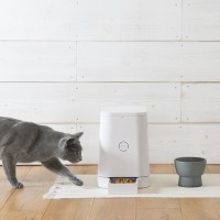 RINN Inc.が新作猫用水飲み器「Cat Water Bowl」の予約注文受付を開始