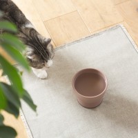 RINN Inc.が新作猫用水飲み器「Cat Water Bowl」の予約注文受付を開始