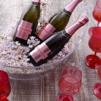 MHDモエヘネシーディアジオが桜の名所を「CHANDON ロゼ」を片手にめぐる「お花見 CHANDON 2016」を開催