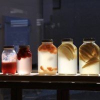 全国からこだわりのパン屋が集うパンのフェスティバル「第8回青山パン祭り-Wonder of fermentation」