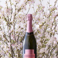 MHDモエヘネシーディアジオが桜の名所を「CHANDON ロゼ」を片手にめぐる「お花見 CHANDON 2016」を開催